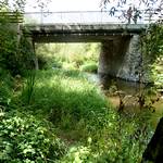 Flusswildnis mit Brücke